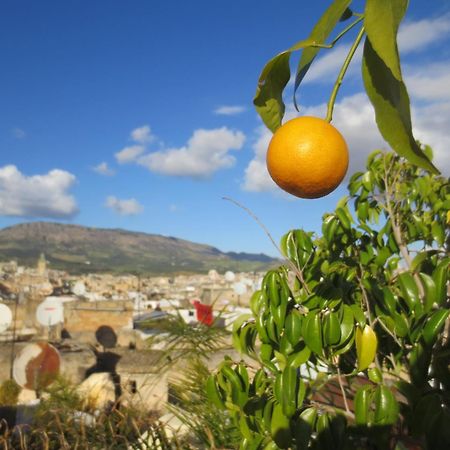 Dar Lalla Kenza Fès Dış mekan fotoğraf
